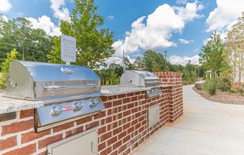 Picnic and grilling areas